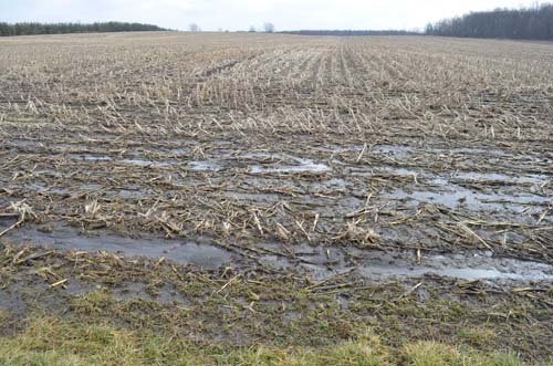 Property photo 42 - 98+/- Acres Offered in 6 Tracts or Combinations, Noble County, Indiana Farm